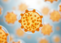 Scientists engineer smarter probiotic shields that survive the gut and deliver more