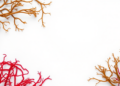 Seaweed-Derived Coating Matches Heparin at Keeping Blood From Clotting