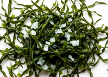 Seaweed Sugars May Rewire the Gut to Fight Fatty Liver Disease
