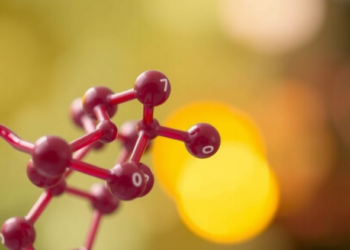 Second-Sphere Hydrogen Bonds Give Iron Catalysts a Boost in Nitrate Reduction