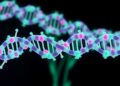 Selenium-doped carbon dots deliver dsRNA to combat Phytophthora diseases