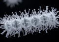 Simpler CRISPR-Cas9 System Speeds Genome Editing in Bacillus Bacteria