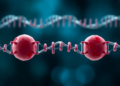 Single Genetic Change May Strike Twice in Rare Anemia Case, Long-Read Study Suggests