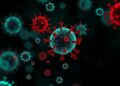 Single-cell eQTL analysis reveals genetic control of immune cells in COVID-19