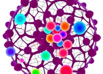 Single-cell omics reveal macrophage diversity in organ fibrosis