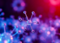 Smart Nanoparticles Combine Heat and Chemotherapy in One Light-Triggered Cancer Platform