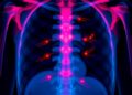 Sternum photoplethysmography shows promise for tracking mixed venous oxygen saturation