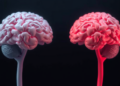Stress Hits the Male and Female Hippocampus in Fundamentally Different Ways