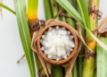 Sugar Cane Waste Turned Into Microbial Rhamnolipid Biosurfactants for a Circular Bioeconomy