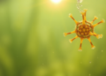 Sunlight-Powered Photocatalysts Emerge as a New Weapon Against Toxic Algal Blooms