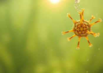 Sunlight-Powered Photocatalysts Emerge as a New Weapon Against Toxic Algal Blooms