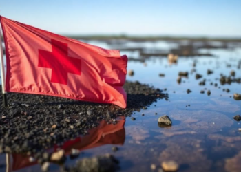 Sweet Flag Biochar Supercharges Persulfate to Destroy Antibiotic Pollution in Water