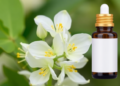 Sweet Osmanthus Oil Shows Antimicrobial and Insecticidal Power in New Study