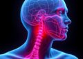 Sympathetic Skin Response Detects Paroxysmal Sympathetic Hyperactivity in Consciousness Disorders