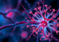 Synaptotagmins: How Calcium-Sensing Proteins Decide Whether Neurons Thrive or Die