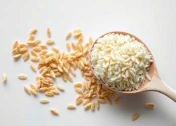 Tea Catechins Transform Waste Rice Bran into Powerful Emulsion Stabilizers