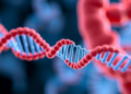 Three Hidden RNA Molecules Revealed as New Clues in Colorectal Cancer Detection and Treatment