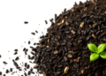 Tiny Doses of Biochar Supercharge Biogas from Slaughterhouse Wastewater