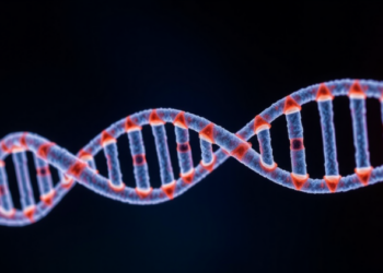 Tiny RNA Fragment Emerges as Hidden Driver of Osteoarthritis Progression