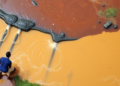 Toxic Effluent in Nigeria’s Ebonyi State Threatens Rivers, Rice and Food Security