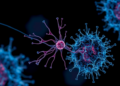 Transfer Learning Reconstructs the Signaling Histories of Single Cells