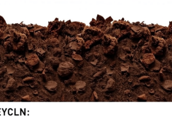 USDA-Funded Soil Scientist Probes Hidden Carbon Reservoirs Threatened by Climate Extremes