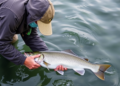 USGS Grant Places New York Undergraduates in Paid Fisheries Research Internships