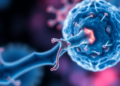 USP22 Keeps Aging Stem Cells Young by Stabilizing Key Bone-Building Protein