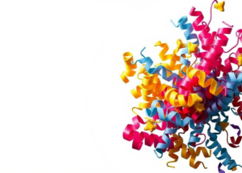 Ufd1 Unfolds Ubiquitin Without ATP to Kick-Start Cdc48/p97 Waste Disposal