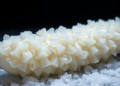 Ultrasound-Assisted Freezing Preserves Collagen Quality in Sea Cucumbers During Storage