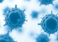University of Kansas Lands $5.8 Million NIH Grant to Fight Antibiotic Resistance