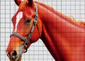 Using 12-lead ECG to locate premature heartbeats in horses
