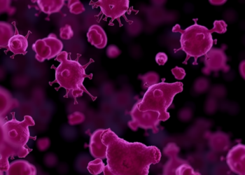 Uterine Monocytes Shown to Play Dual Roles in Tissue Renewal and Reproductive Disease