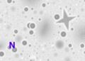 Vancomycin-resistant Enterococcus faecium carrying Tn1546-plasmid rep17 found in Algerian maternity wards