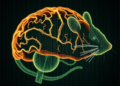 Viral Barcodes Reveal the Hidden Family Tree of the Newborn Mouse Brain
