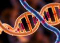 Vitamin D Alters DNA Repair Machinery in Systemic Sclerosis Patients