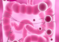Vonoprazan-Based Dual Therapy Outperforms Esomeprazole Against H. pylori While Gut Microbiota Recovers