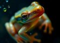 Warming and ammonium exposure in larvae shape adult frog outcomes