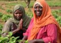 Women’s role in adopting climate-smart farming technologies in the Sahel