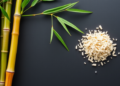 Young Bamboo Delivers Commercial-Grade Dissolving Pulp in Head-to-Head Species Trial