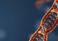qBiCo: New Quality-Control Test Exposes Hidden Flaws in DNA Methylation’s Gold-Standard Method