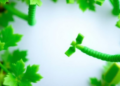 AI Built for Green Life: DeepGreenGO Reads Plant Proteins Where Other Models Fail