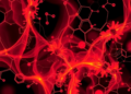 AI Can Map the Toxicity of Forever Chemicals, But Only If Scientists Learn to Trust It