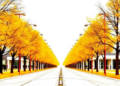 AI Heatmaps May Be Lying: New Test Exposes Flawed Explanations in Image-Recognition Networks