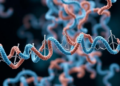 AI Model Reads Proteins in Parallel to Predict How Mutations Reshape Stability