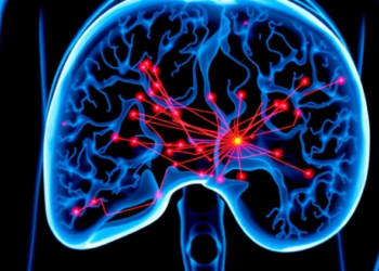 AI Plans Safer Needle Routes for Liver Tumor Ablation With 75% Fewer Parameters