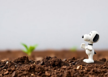 AI Soil Water Forecasts for Peanuts Face a Humbling Baseline: Yesterday’s Reading