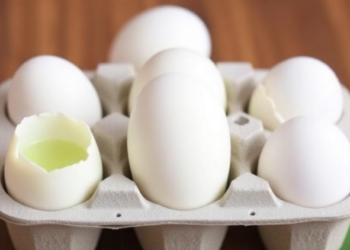 Aloe Vera Gel and Essential Oil Coatings Keep Refrigerated Eggs Fresher for Longer