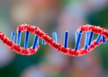 An RNA Eraser Gone Rogue: ALKBH5 Emerges as a Molecular Driver of Preeclampsia