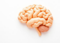 Ancient Chinese Herb Polysaccharide Slows Aging Through Gut and Brain Pathways
